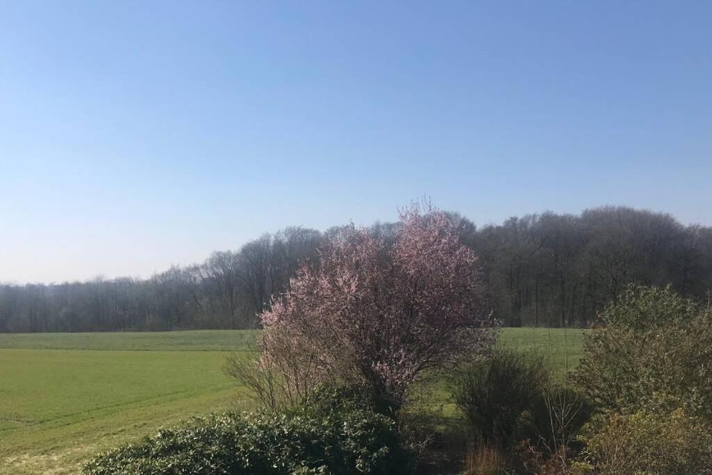 Ferienwohnung auf dem Land und trotzdem stadtnah. Herford Exterior foto